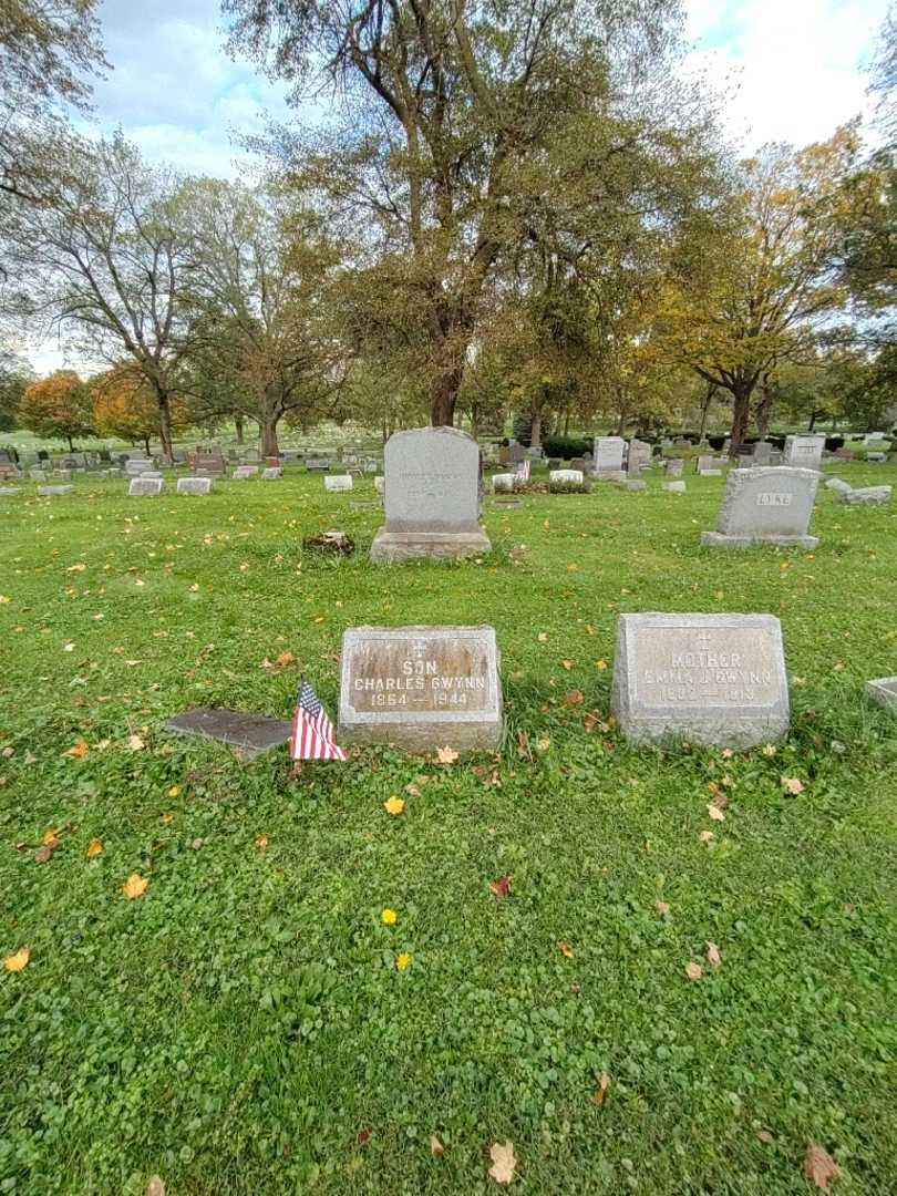 Charles Gwynn's grave. Photo 1