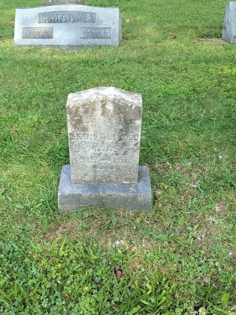 Leon Alfred Maas's grave. Photo 2