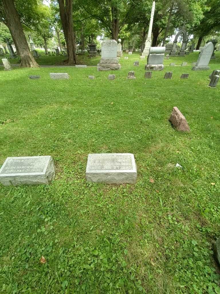 Alexander Frank Henry's grave. Photo 1