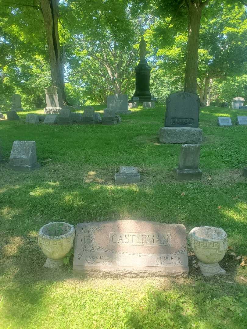 Charles F. Castleman's grave. Photo 1