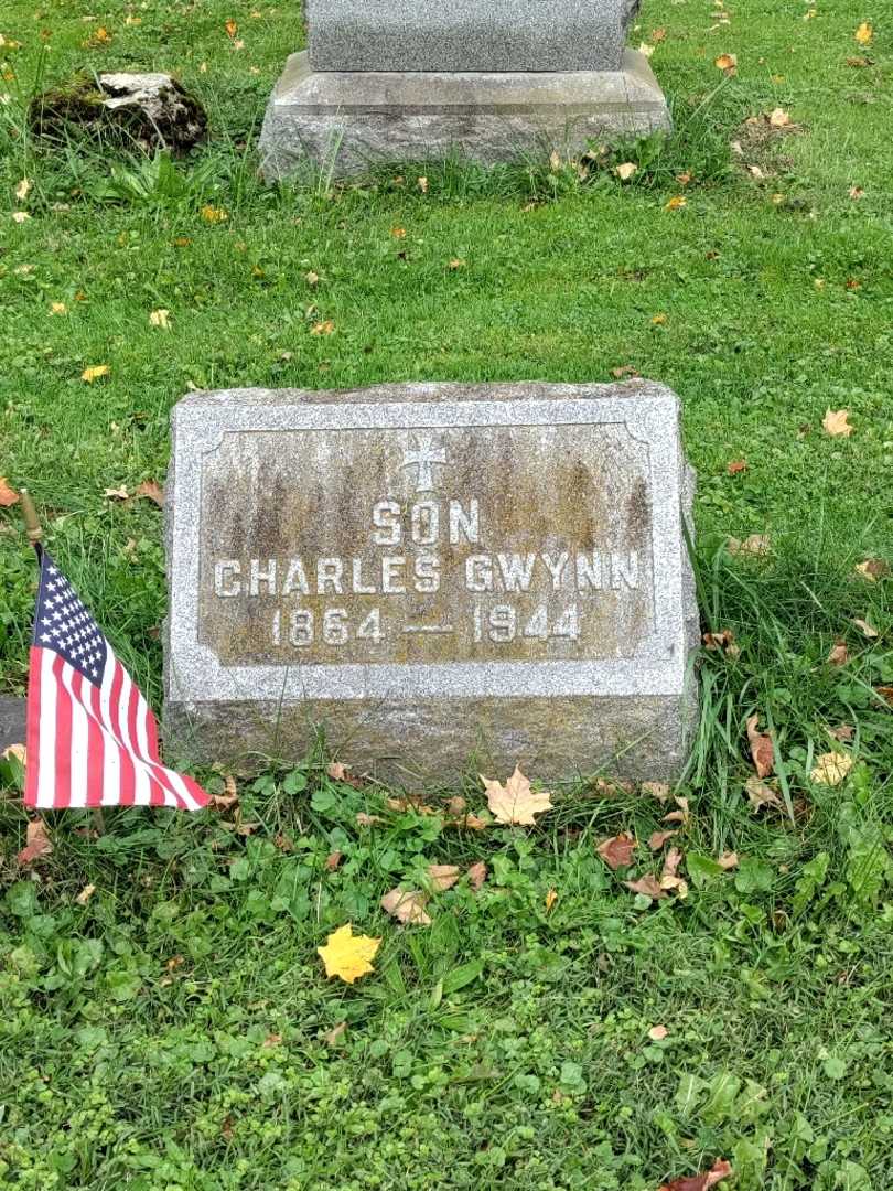 Charles Gwynn's grave. Photo 2