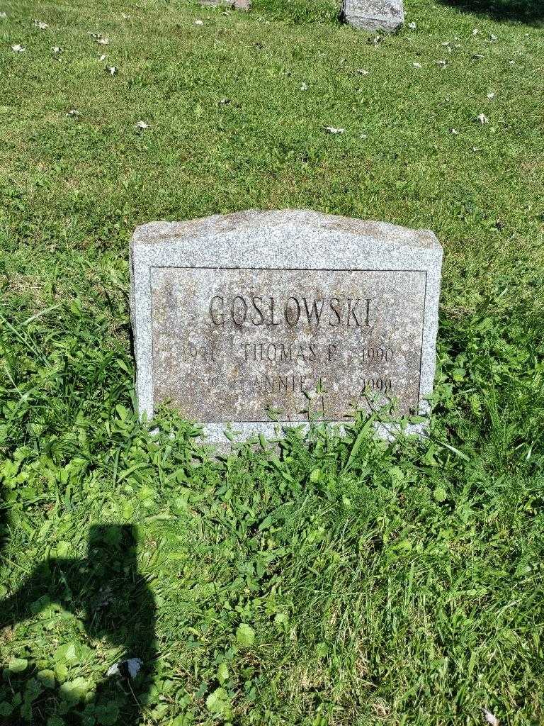 Thomas P. Goslowski Senior's grave. Photo 2