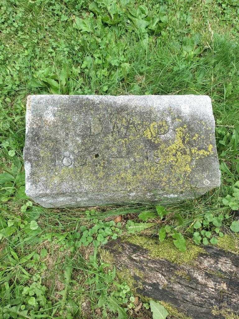Edward Mcguigan's grave. Photo 2