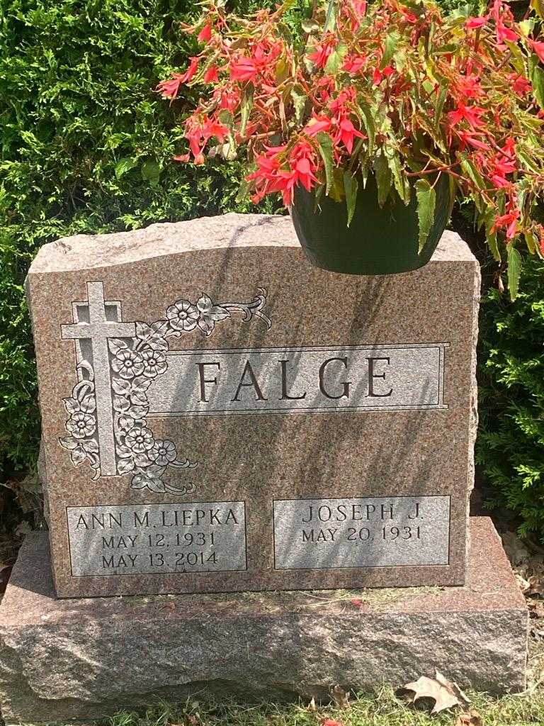 Ann M. Falge Liepka's grave. Photo 3