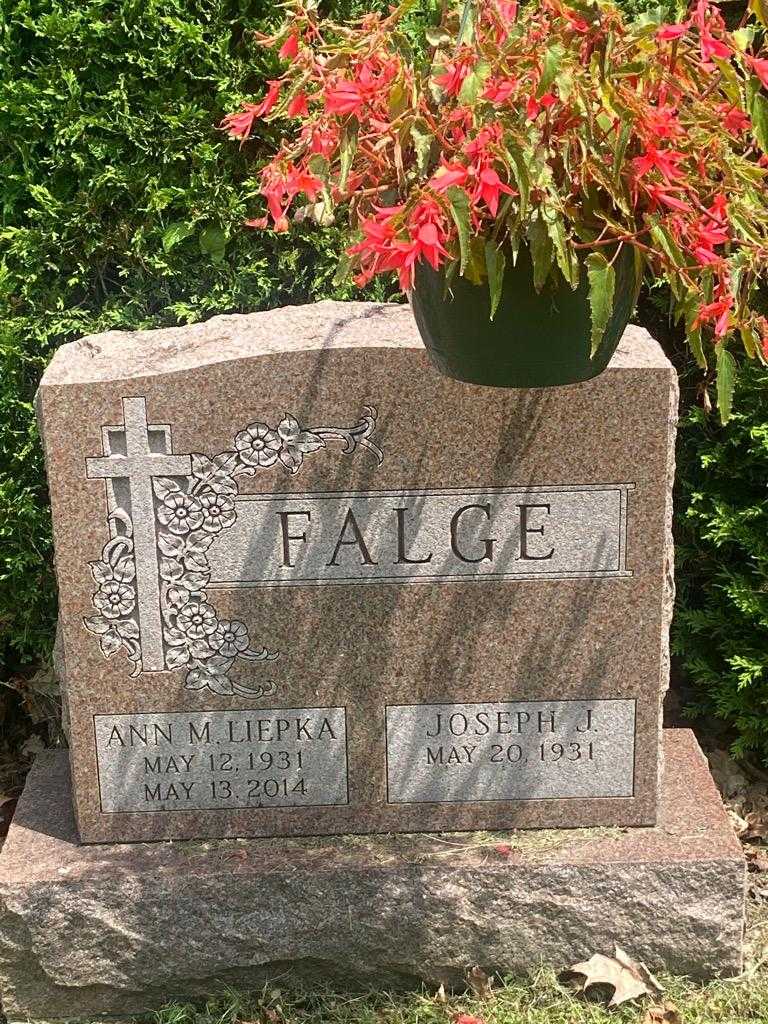 Ann M. Liepka-Falge's grave. Photo 1