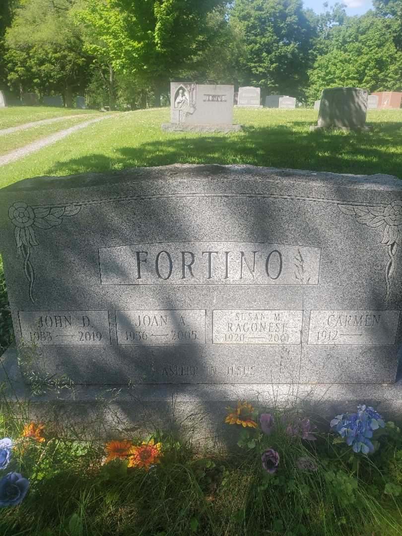 John D. Fortino Senior's grave. Photo 3