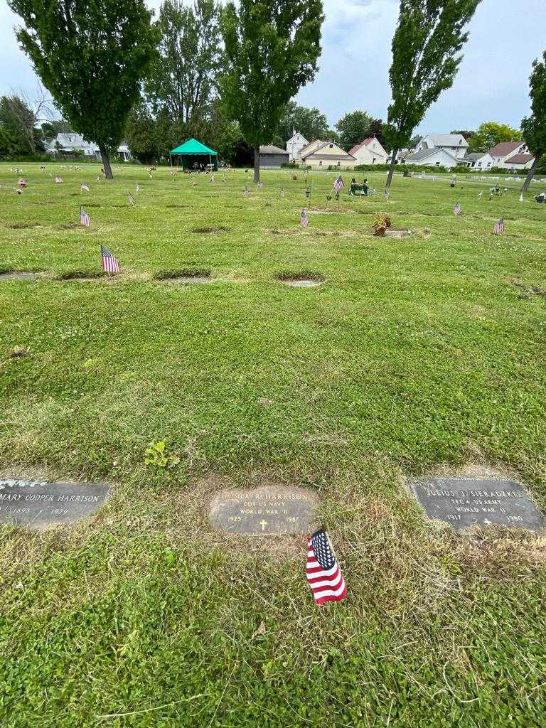 Homer R. Harrison's grave. Photo 1