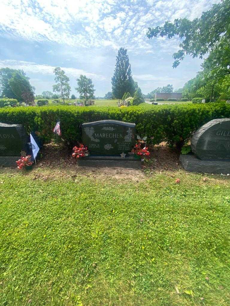 Daniel J. Marechek's grave. Photo 1