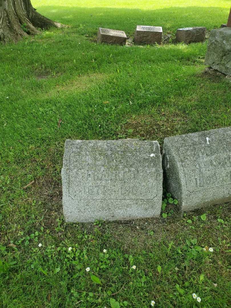 Elizabeth G. "Eliz" Franklin's grave. Photo 3