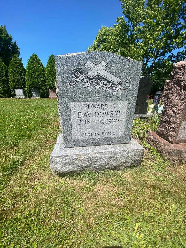 Edward A. Davidowski's grave. Photo 1