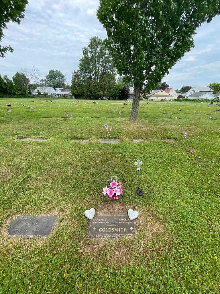 Joyce A. Goldsmith's grave. Photo 1