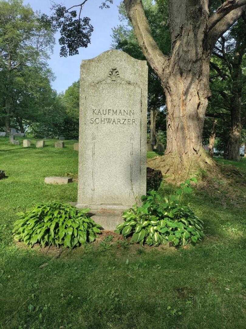 Anna Louise Kaufmann Cook's grave. Photo 4