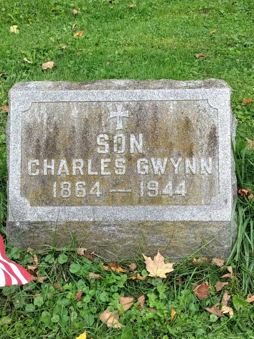 Charles Gwynn's grave. Photo 3