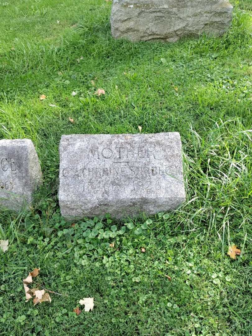 Catherine Surbeck's grave. Photo 2