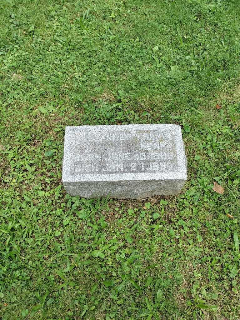 Alexander Frank Henry's grave. Photo 2