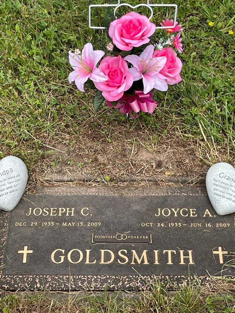 Joseph C. Goldsmith's grave. Photo 3
