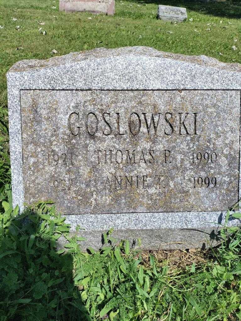 Thomas P. Goslowski Senior's grave. Photo 3