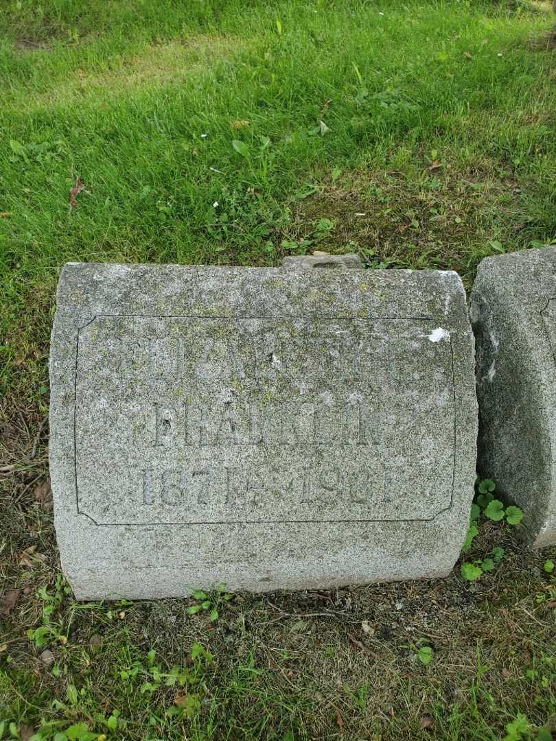 Elizabeth G. "Eliz" Franklin's grave. Photo 4