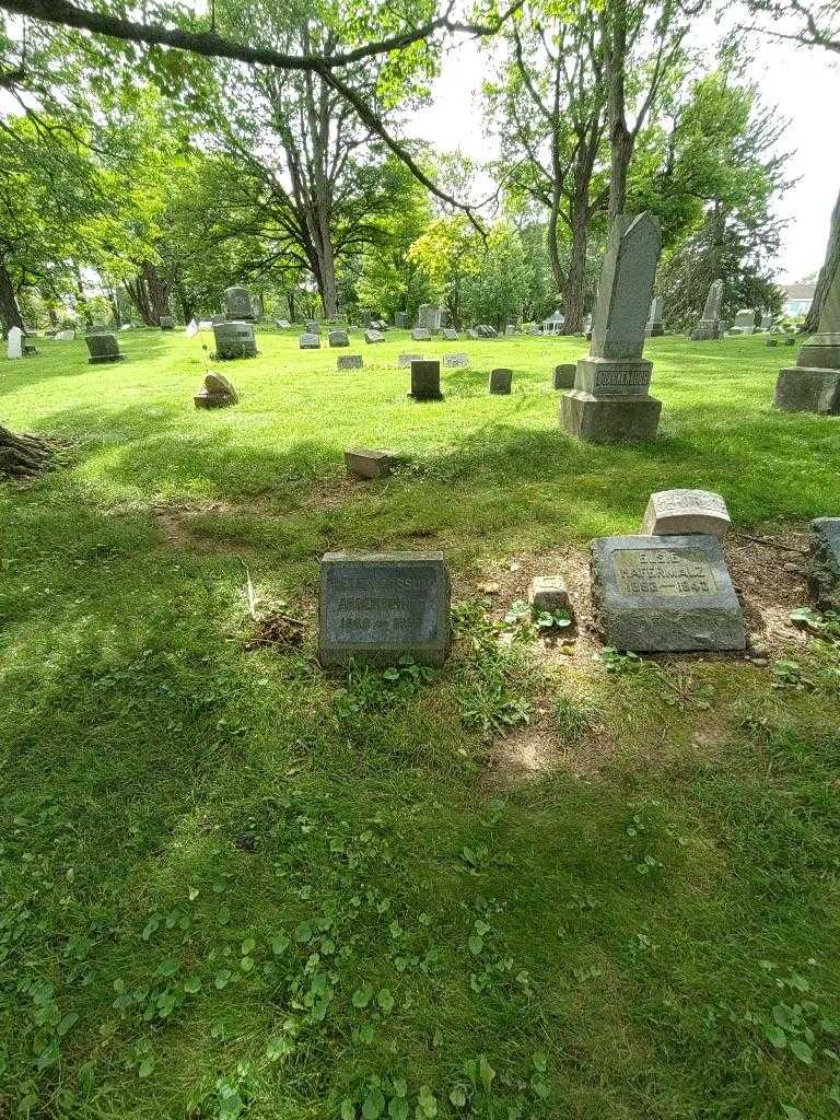 Helen Cossum Argersinger's grave. Photo 1