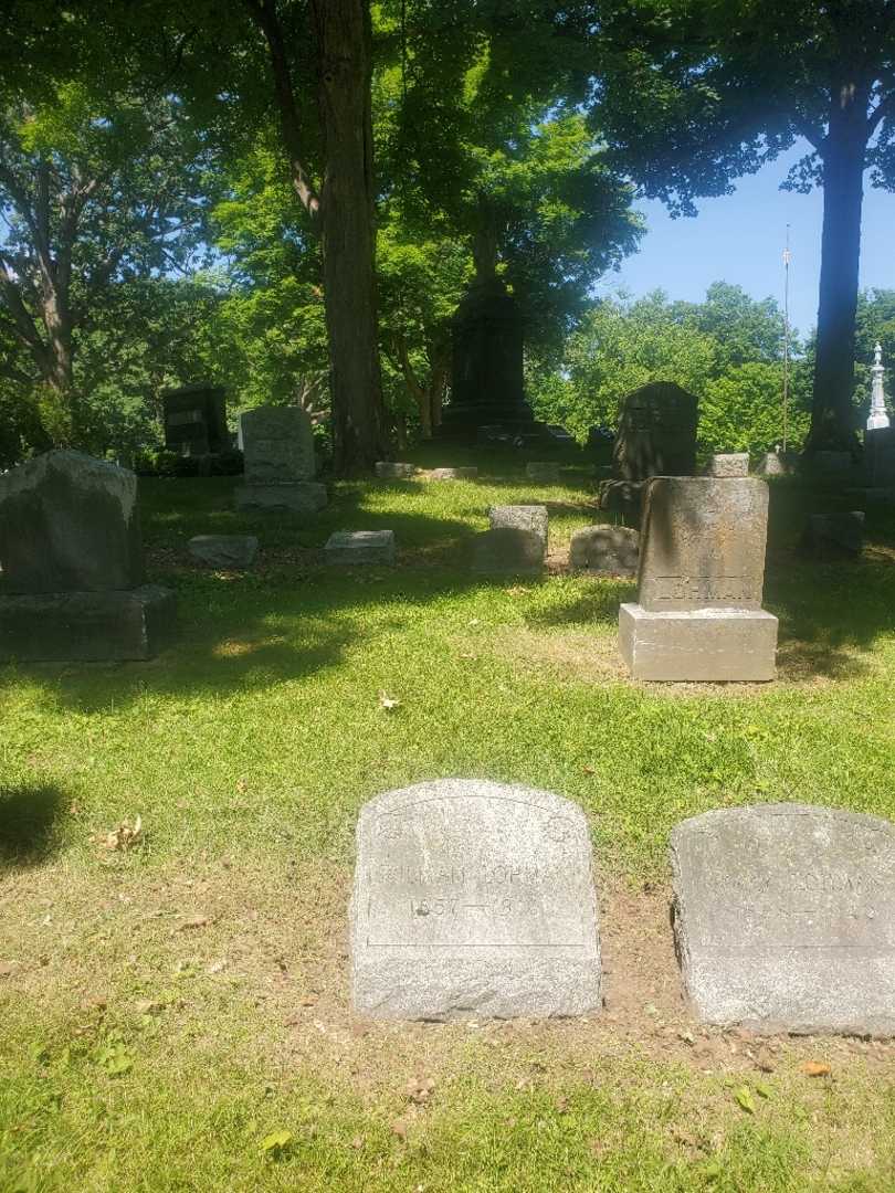 William Lohman's grave. Photo 1