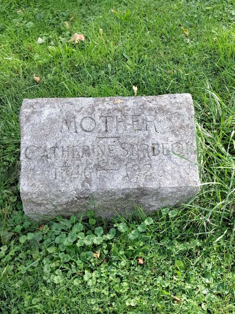 Catherine Surbeck's grave. Photo 3