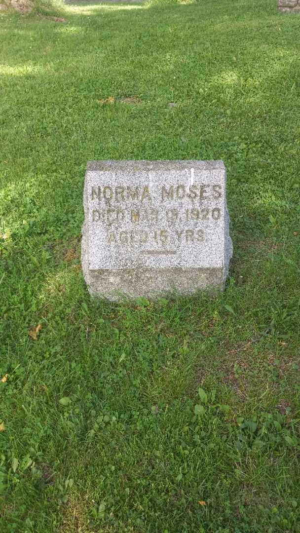Norma H. Moses's grave. Photo 3