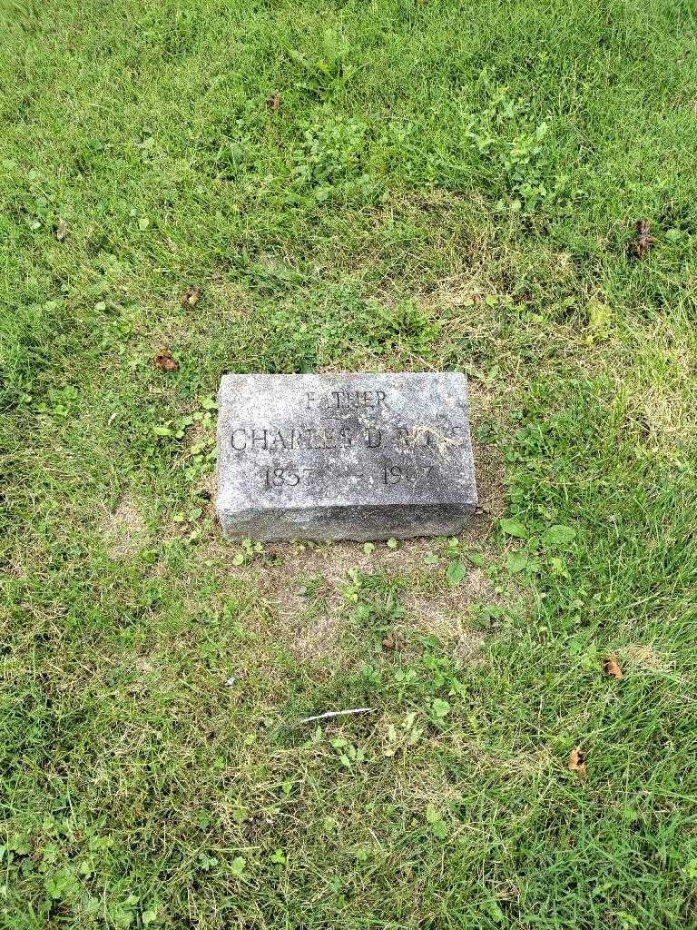 Charles D. Ross's grave. Photo 2