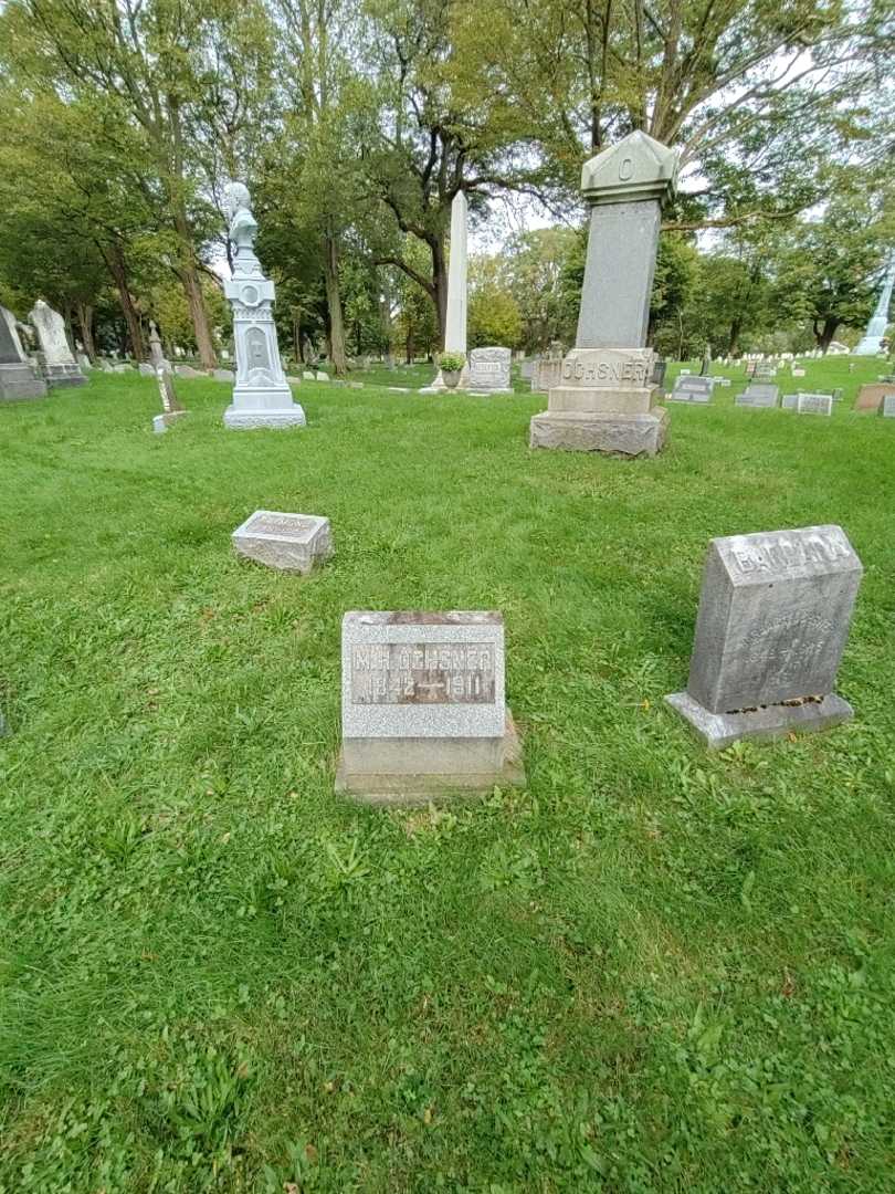 Michael H. Ochsner's grave. Photo 1