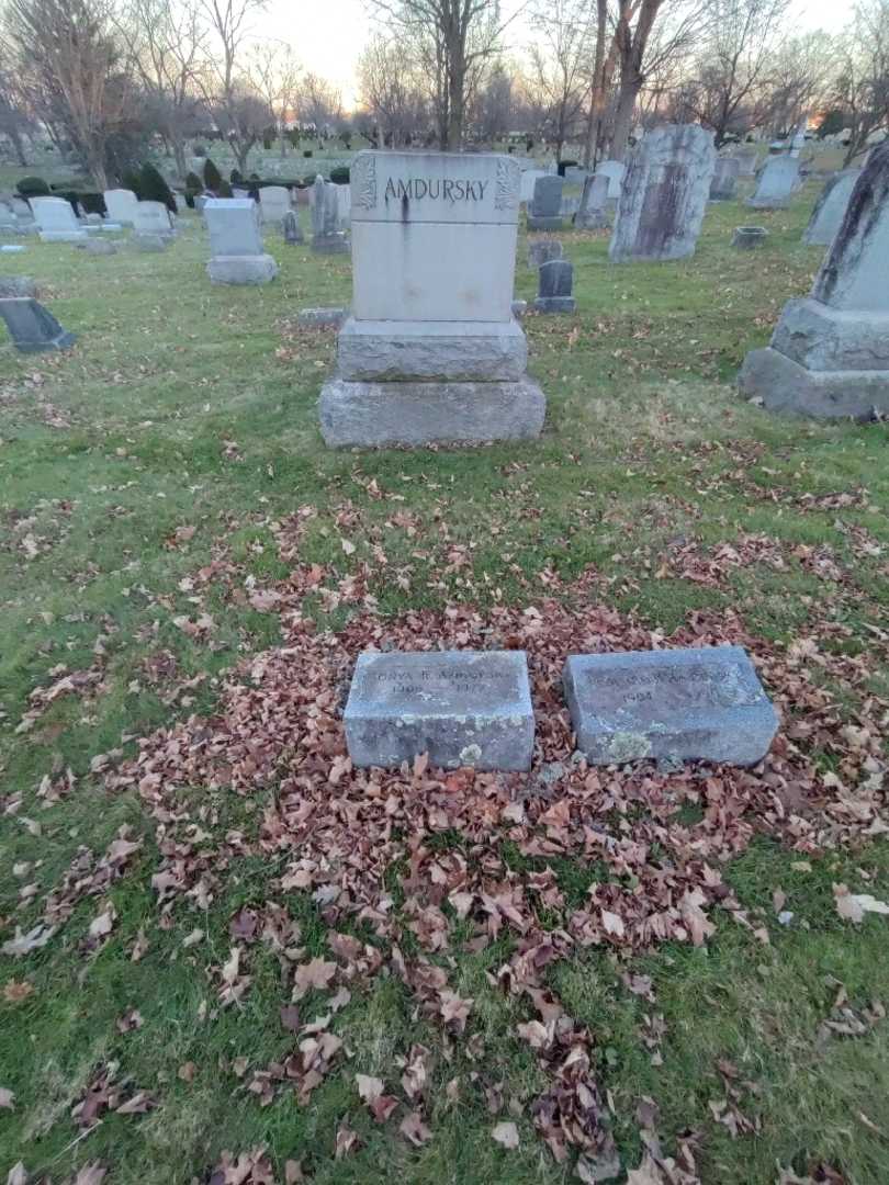 Sonya Ross Amdursky's grave. Photo 1