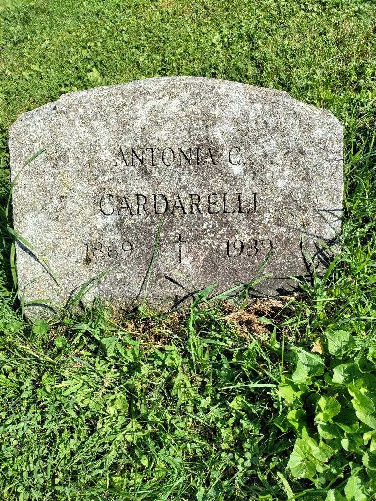 Antonia C. Cardarelli's grave. Photo 2