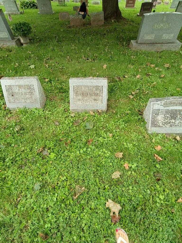 Herman Meyers's grave. Photo 1