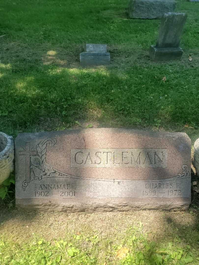 Charles F. Castleman's grave. Photo 3