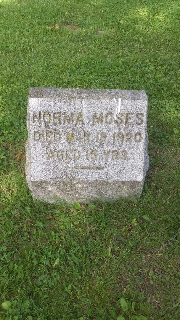 Norma H. Moses's grave. Photo 4