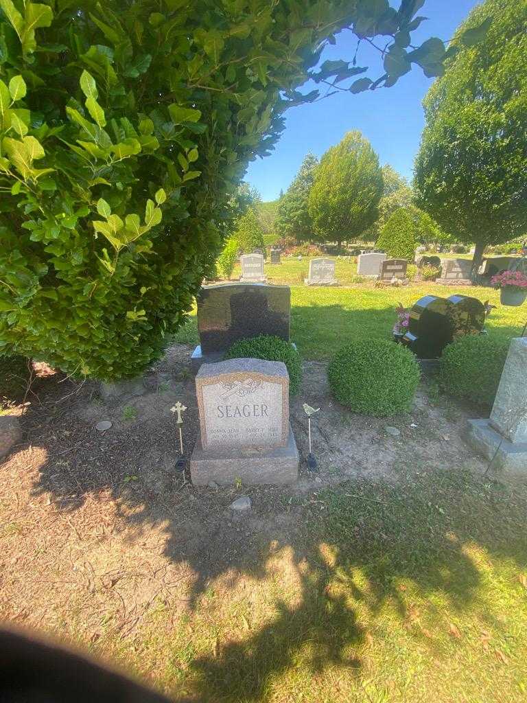 Barry P. "Mike" Seager's grave. Photo 1