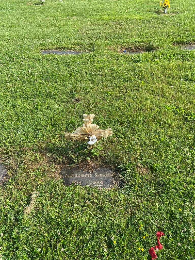 Antoinette Speach's grave. Photo 2