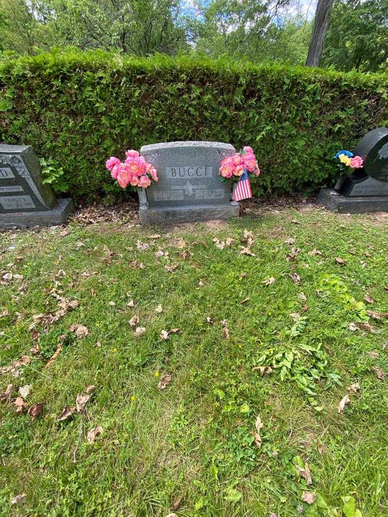Tony Bucci's grave. Photo 2