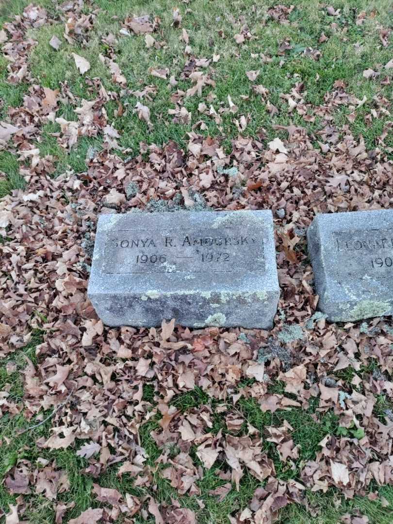 Sonya Ross Amdursky's grave. Photo 2