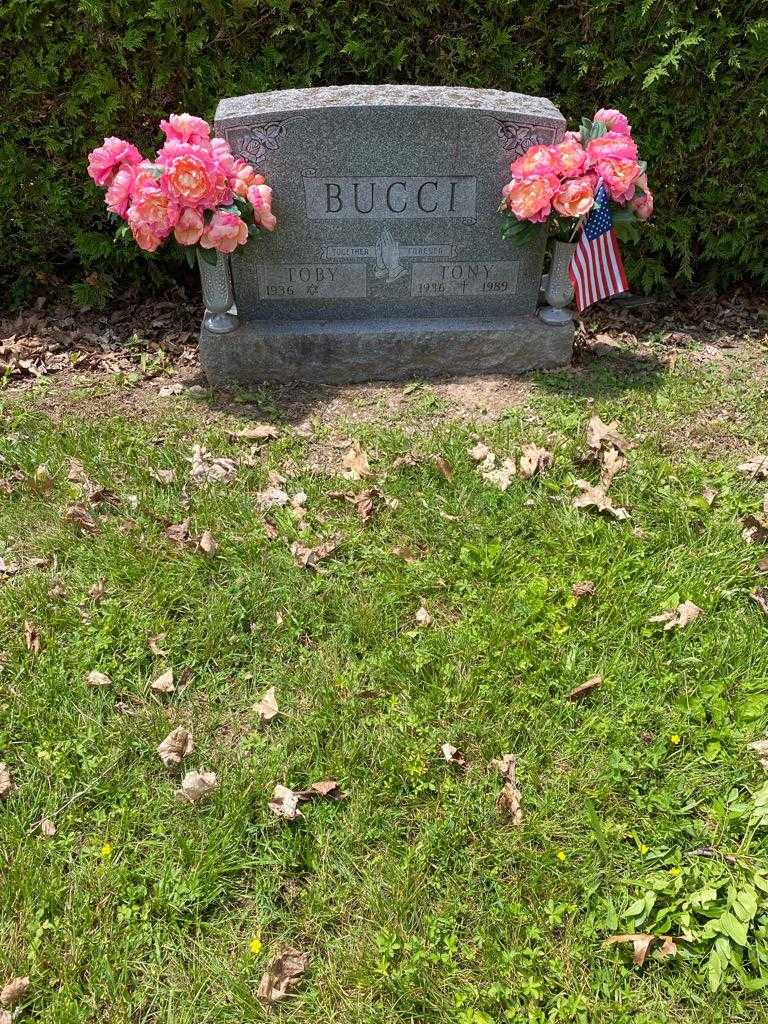 Tony Bucci's grave. Photo 3