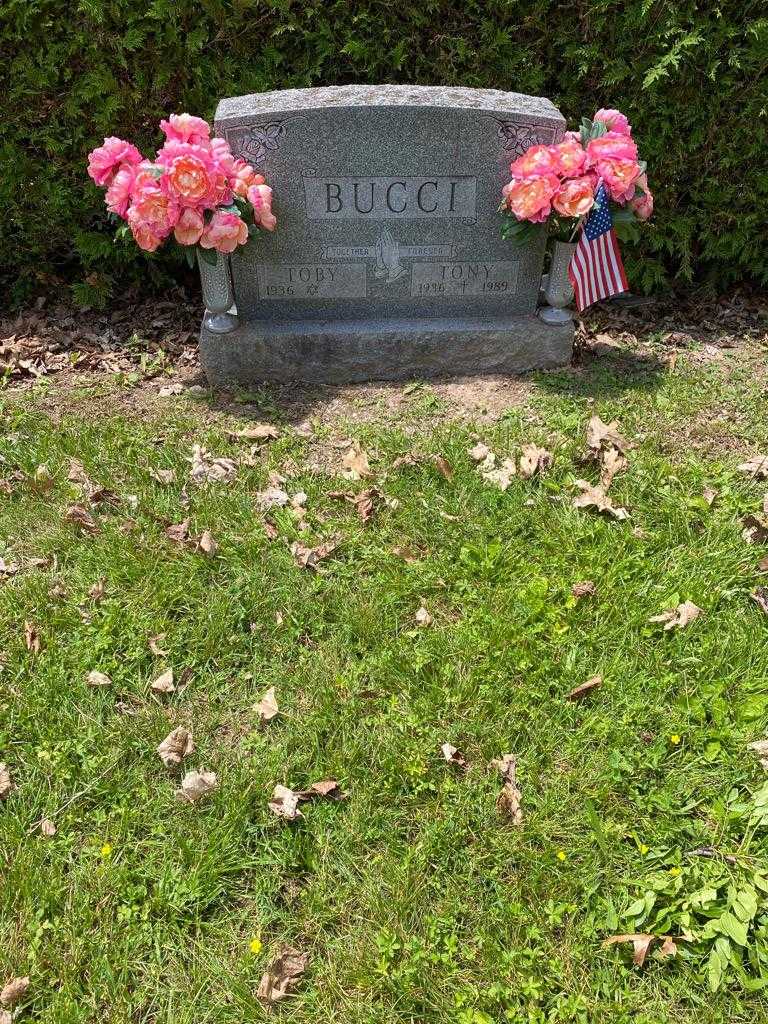 Thelma Ruth "Toby" Bucci's grave. Photo 3