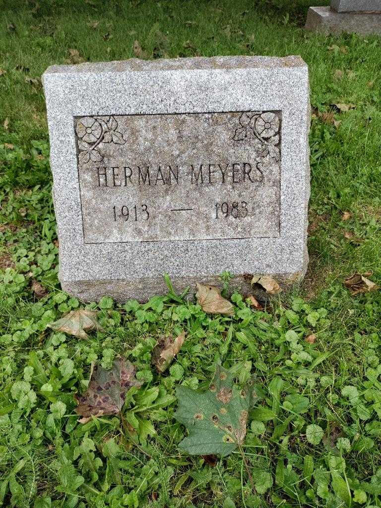 Herman Meyers's grave. Photo 2