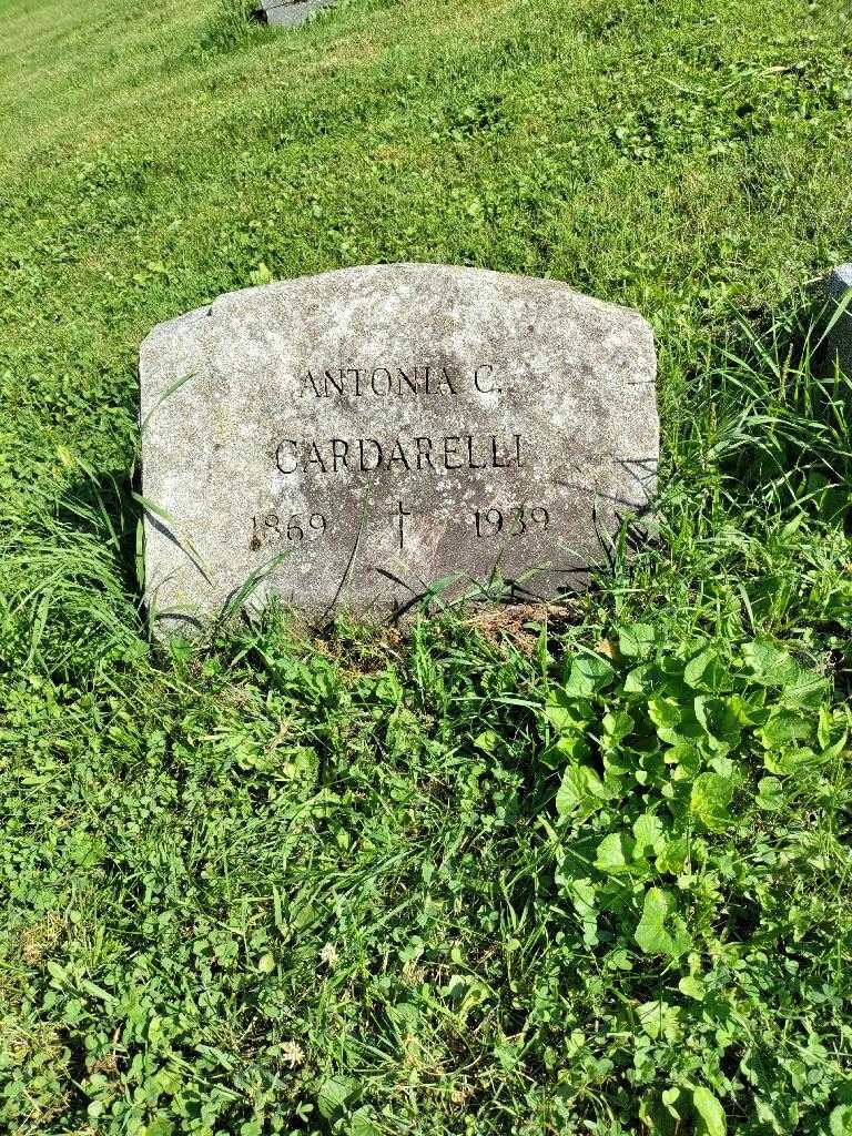 Antonia C. Cardarelli's grave. Photo 3