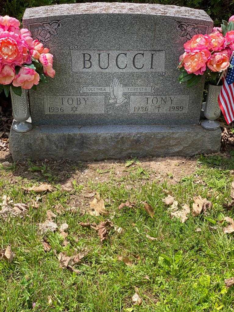 Tony Bucci's grave. Photo 1
