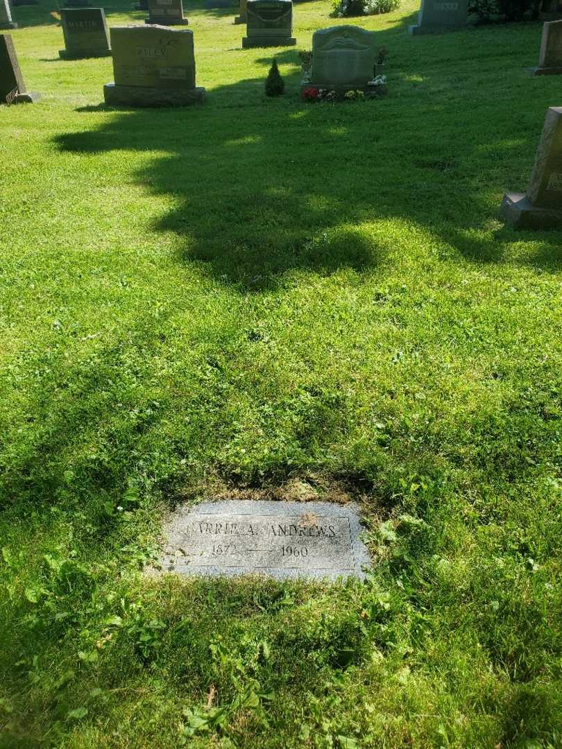 Carrie A. Andrews's grave. Photo 2