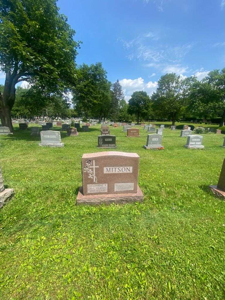 Delphine T. Mitson's grave. Photo 1