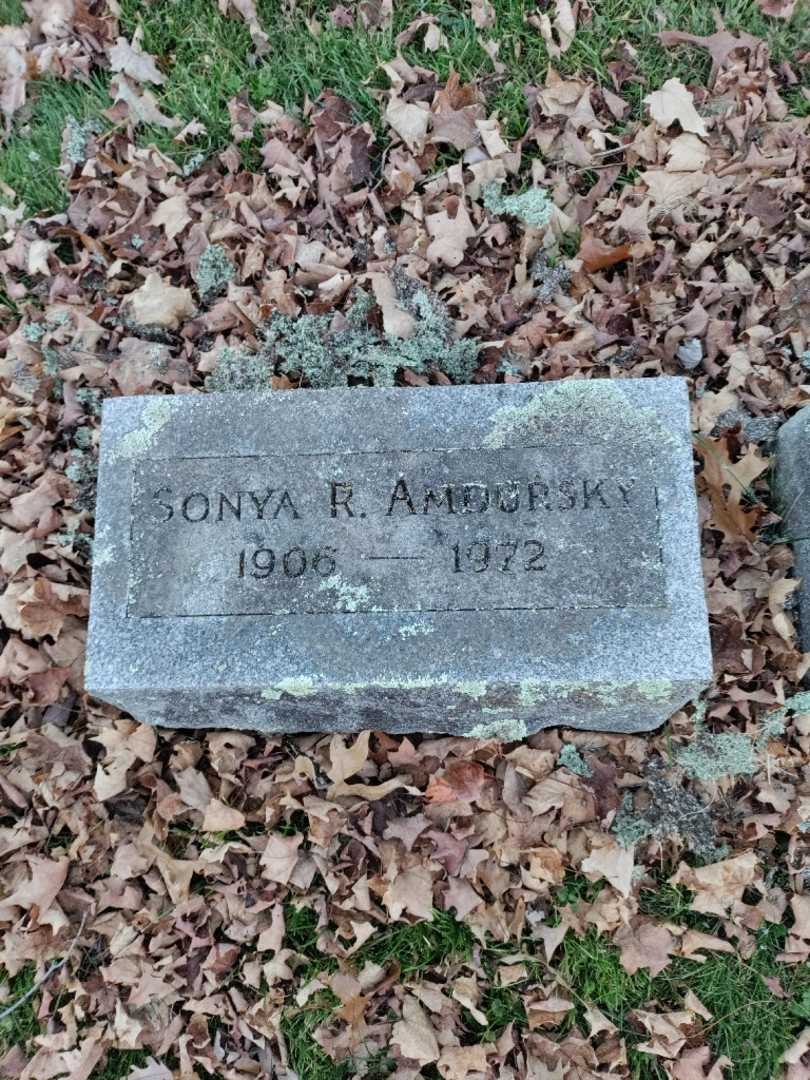 Sonya Ross Amdursky's grave. Photo 3