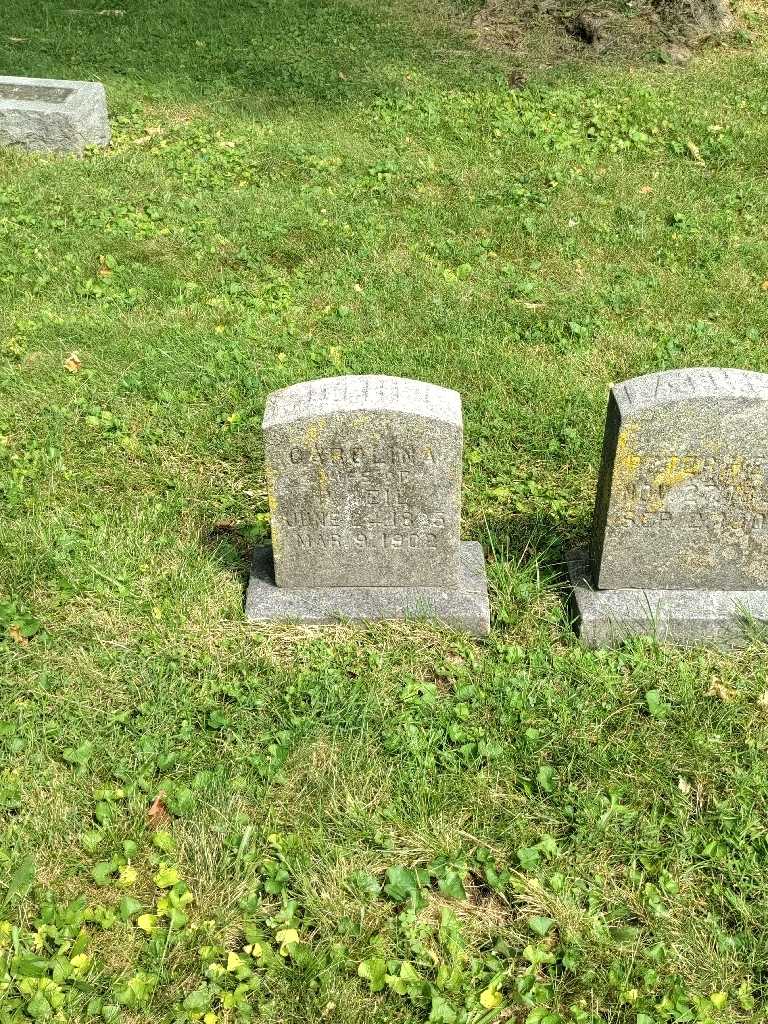 Carolina Heil's grave. Photo 3