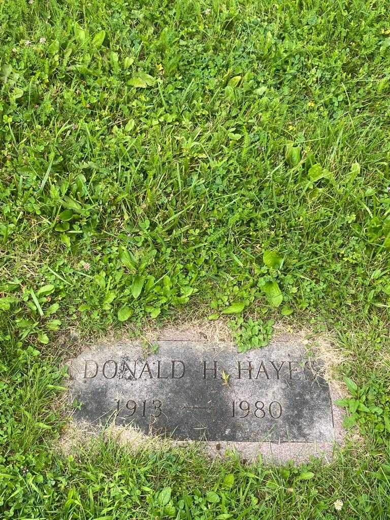 Donald H. Hayes's grave. Photo 3