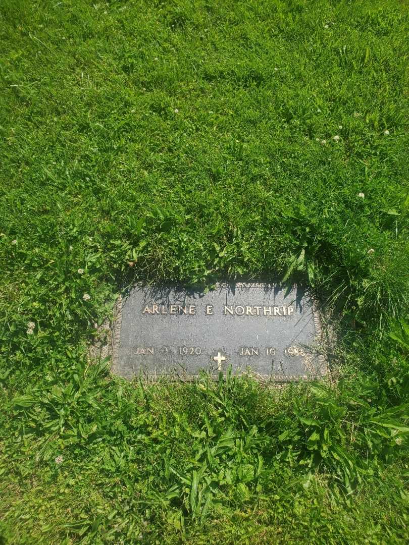 Arlene E. Northrip Young's grave. Photo 3