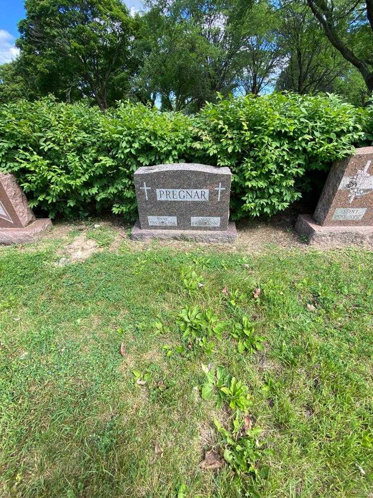 Alex Pregnar's grave. Photo 1