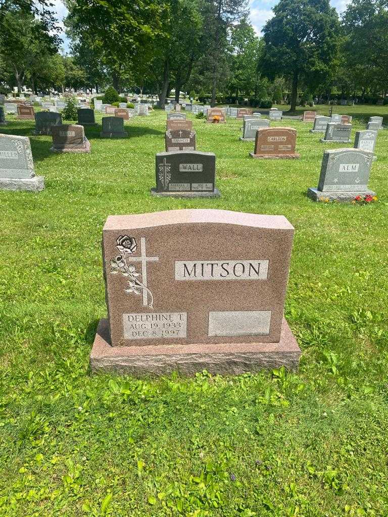 Delphine T. Mitson's grave. Photo 2